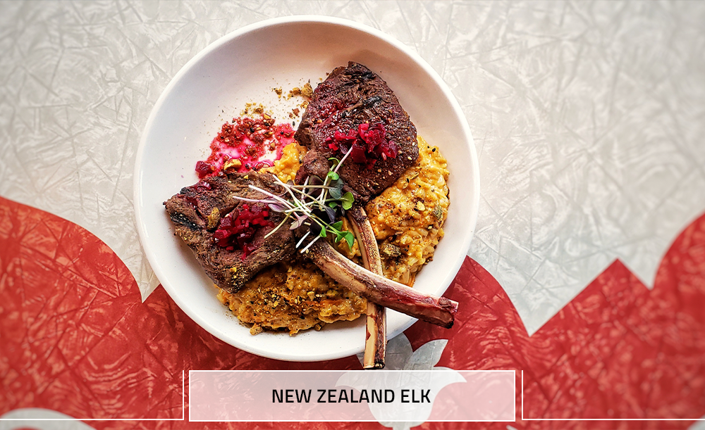 MobileSlider NewZealandElk