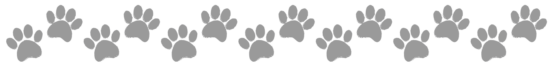 PawPrints Website