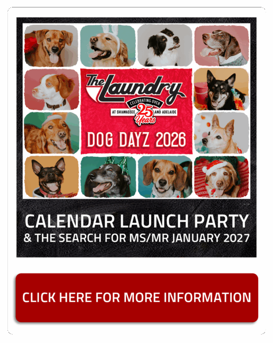 DogDayz2026 LP HomepageButton