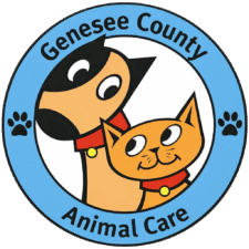 GeneseeCountyAnimalCare GeneseeCountyAnimalCare